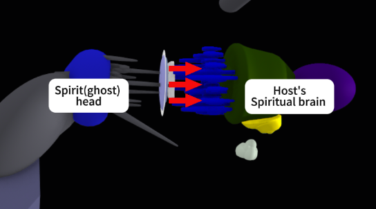 Spirit (Ghost) head directing influence toward the host spiritual brain