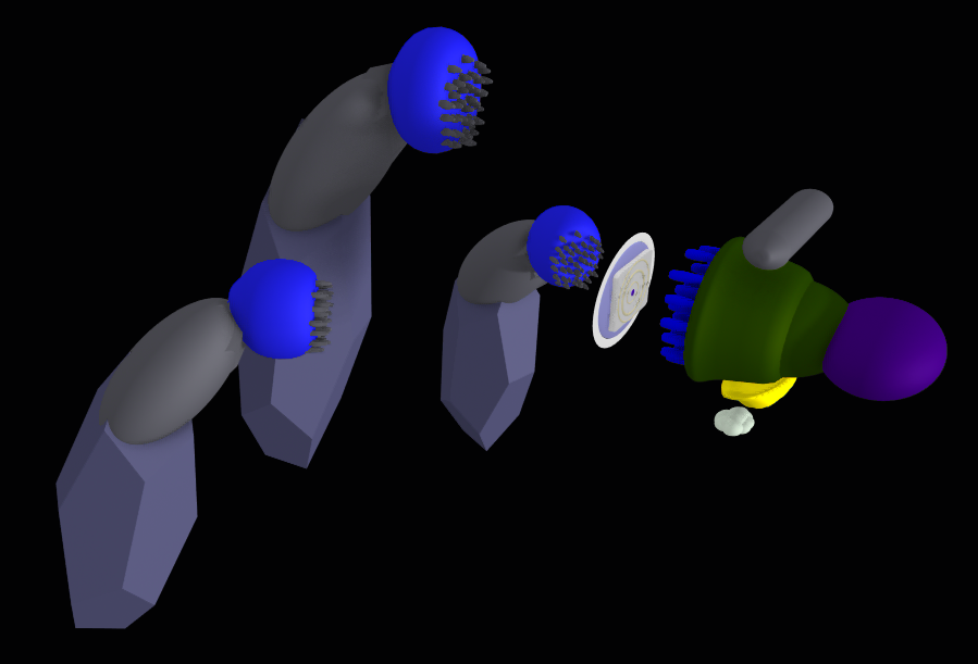 Three spirit-brains at one host 3D brain screen: two possessing spirits and the host thinking organ