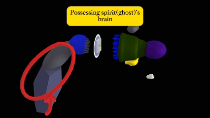 Animation: possessing spirit at a normal resting locus relative to the host