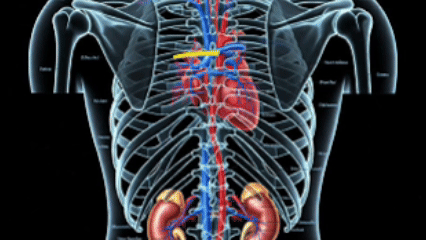 Animation: possessing spirit moving from heart to head and inducing pathology
