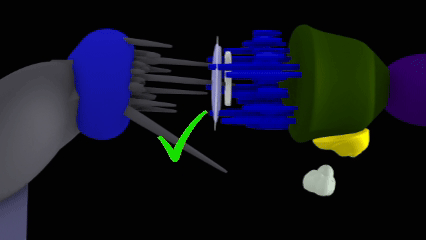 Animation: shared brain-screen control — schizophrenia-type pattern